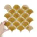Aktualnie wybrany produkt: Płytka Flabellum Amber Połysk